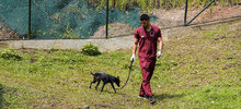 &ldquo;El CBA no es un espacio para abandonar animales&rdquo;: Unidad de Protecci&oacute;n Animal
