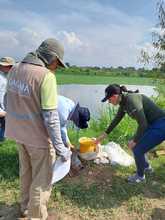 Dagma y CVC trabajan en la protecci&oacute;n del gran banco de agua de los cale&ntilde;os