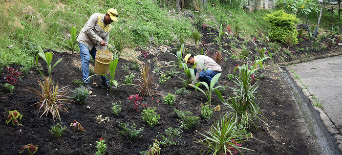 Ruta tur&iacute;stica &lsquo;Isabel P&eacute;rez&rsquo; estrena jardines