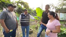 Huertas Urbanas en la ciudad, lugares que fortalecen el tejido social y la seguridad alimentaria.  