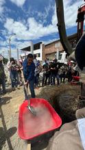 Alcald&iacute;a de Cali realiz&oacute; traslado de &aacute;rboles al Bulevar de Oriente