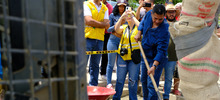 Alcald&iacute;a de Cali realiz&oacute; traslado de &aacute;rboles al Bulevar de Oriente