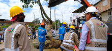 Alcald&iacute;a de Cali realiz&oacute; traslado de &aacute;rboles al Bulevar de Oriente