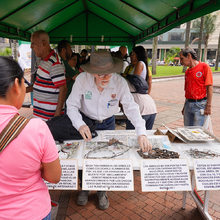 Cale&ntilde;os disfrutaron aprendiendo en la Plaza de Cayzedo