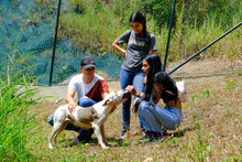 Centro de Bienestar Animal realiz&oacute; primer encuentro educativo para los ciudadanos 
