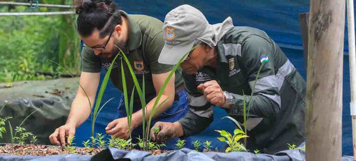 El jardinero que ayud&oacute; a evitar la extinci&oacute;n del Burilico