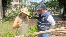 Huertas urbanas, ejemplo de seguridad alimentaria en Cali