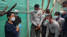Dagma y CVC capacitan a organismos de rescate y autoridades en manejo de fauna silvestre