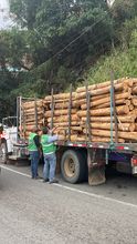 Contin&uacute;an operativos de vigilancia y control al tr&aacute;fico y transporte de madera