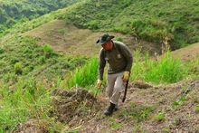Barreras cortafuego para salvar la vida