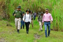 Barreras cortafuego para salvar la vida