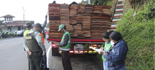 Cali extrema medidas para la protecci&oacute;n de flora en peligro de extinci&oacute;n