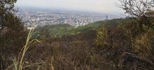 Dagma mitig&oacute; riesgo de nuevo incendio en el cerro de Las Tres Cruces