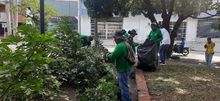 Dagma lanza nuevas tem&aacute;ticas en su &lsquo;L&iacute;nea Eco&rsquo;