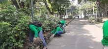 Dagma lanza nuevas tem&aacute;ticas en su &lsquo;L&iacute;nea Eco&rsquo;