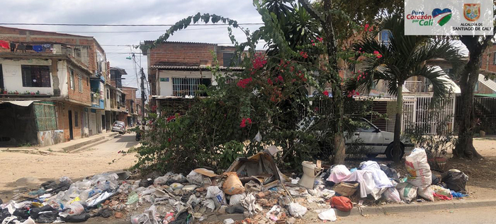 Dagma lanza nuevas tem&aacute;ticas en su &lsquo;L&iacute;nea Eco&rsquo;