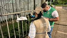 Los niveles de ruido en el Festival &lsquo;Petronio &Aacute;lvarez&rsquo; estar&aacute;n monitoreados por el Dagma