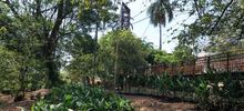 Avanza la renaturalizaci&oacute;n del &lsquo;Proyecto Integral Cristo Rey&rsquo;