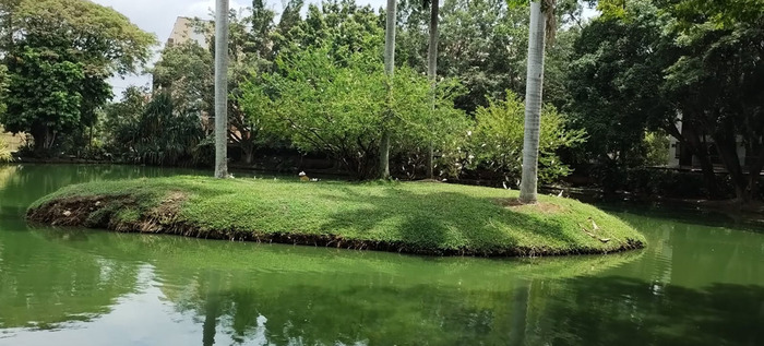 Dagma mejorar&aacute; condiciones ecol&oacute;gicas de humedal El Retiro