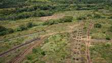 Los senderos del Parque Ambiental Coraz&oacute;n de Pance ya est&aacute;n demarcados en su totalidad
