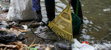 Limpieza de fuentes h&iacute;dricas contribuye a controlar el dengue