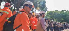 A Cali, buena sombra la cobija