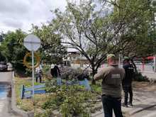 Cale&ntilde;os aliados en la protecci&oacute;n del arbolado urbano