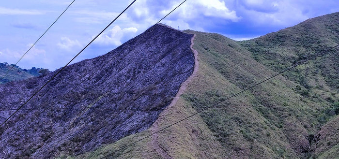 Pavesas preocuparon a los habitantes del sur de Cali