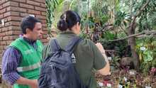 Dagma decomis&oacute; 6 unidades de orqu&iacute;deas extra&iacute;das del bosque en &lsquo;Cali Orqu&iacute;deas&rsquo;