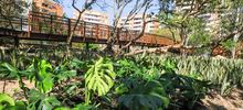  Cali estrena un sendero de innovaci&oacute;n, vida y oportunidades