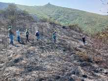Dagma eval&uacute;a impacto ambiental del incendio forestal en Pilas del Cabuyal