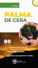 Acciones de amor y fe por el medio ambiente: en Semana Santa protejamos la palma de cera