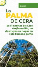 Acciones de amor y fe por el medio ambiente: en Semana Santa protejamos la palma de cera