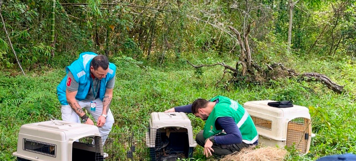 45 animales silvestres fueron liberados en las monta&ntilde;as de Cali