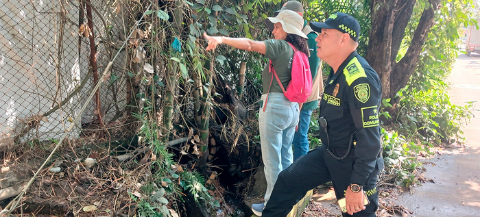 Dagma hace un llamado a constructores que insisten en afectar el  humedal Lago Verde