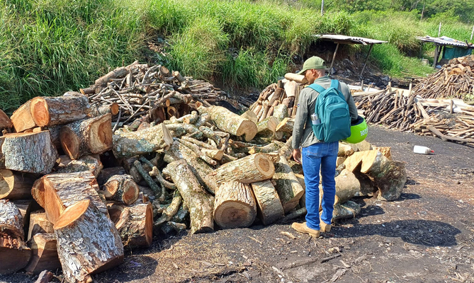 710 emergencias han sido atendidas por el Grupo Ambiental de Reacci&oacute;n Inmediata del Dagma