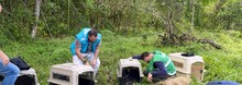 Cali no baja la guardia en su lucha contra el tr&aacute;fico ilegal de fauna silvestre