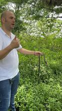 M&aacute;s de 700 animales silvestres fueron liberados por el Dagma en las monta&ntilde;as de Cali durante el primer semestre de 2024