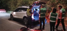 Operativos previos al &lsquo;Petronio &Aacute;lvarez&rsquo;: Dagma y Polic&iacute;a Ambiental intensifican labores contra el tr&aacute;fico de flora y fauna silvestre