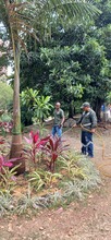 Con 30 nuevos jardines, avanza el plan de recuperaci&oacute;n ambiental previo a la COP16