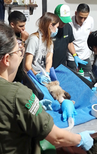 Dagma fortalece alianzas estrat&eacute;gicas con autoridades ambientales  regionales para atender y proteger la fauna silvestre