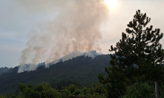 Dagma, hace llamado urgente a los cale&ntilde;os para contribuir al mejoramiento de la calidad del aire
