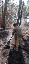 Dagma inici&oacute; labores para recuperar &aacute;reas afectadas por los incendios  forestales en Los Andes
