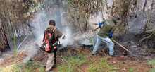 Dagma inici&oacute; labores para recuperar &aacute;reas afectadas por los incendios  forestales en Los Andes