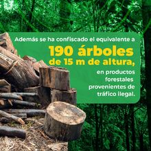 Rompe la cadena: di &ldquo;no&rdquo; al tr&aacute;fico ilegal de flora y fauna