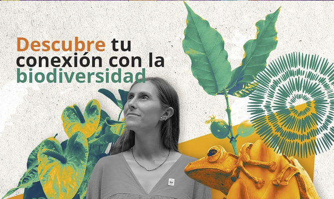En la v&iacute;spera de la COP16, Dagma y WWF lo invitan a realizar el curso virtual &lsquo;Somos Biodiversidad&rsquo;