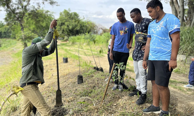 Durante la COP, se sembraron &aacute;rboles y se recuperaron zonas verdes en Cali