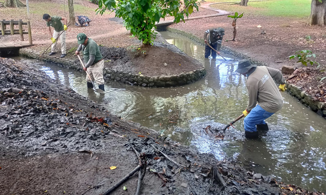  Dagma adelanta acciones para proteger el humedal El Retiro: los patos ser&aacute;n trasladados a otro h&aacute;bitat