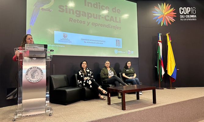 Cali se destaca en el &lsquo;&Iacute;ndice de Biodiversidad Urbana&rsquo; o &lsquo;&Iacute;ndice de Singapur&rsquo; con importantes avances en sostenibilidad