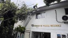 Dagma atiende emergencias por volcamiento de &aacute;rboles en Cali